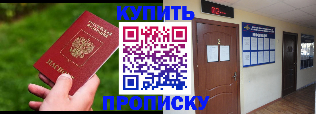 где прописаться в Дмитрове